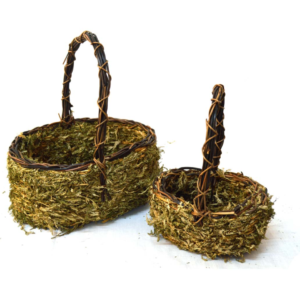 Set de 2 cestas ovaladas de  musgo