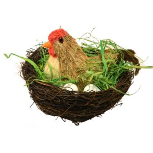 Gallina con nido