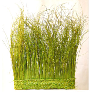 Valla esparto teñido verde