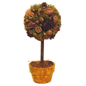 Árbol bola frutos secos