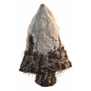 (OFERTA) Árbol nevado