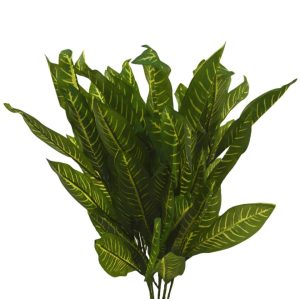 Rama Croton