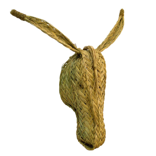 Cabeza burro esparto