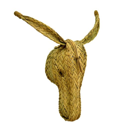 Cabeza de burro esparto