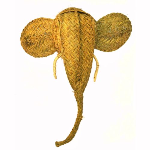 Cabeza de elefante esparto
