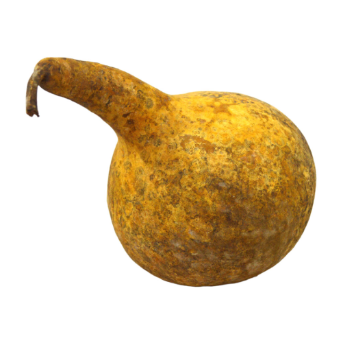 Calabaza seca natural