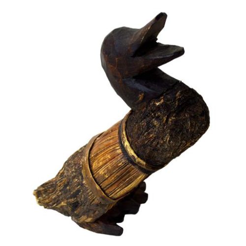 Pato de anea teñido