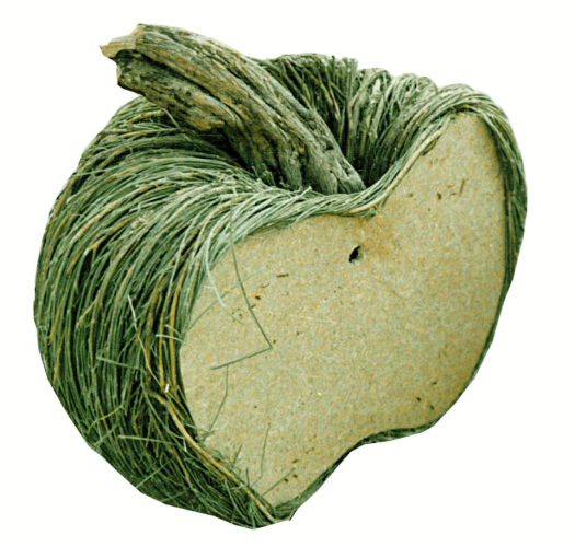 Media calabaza de retama