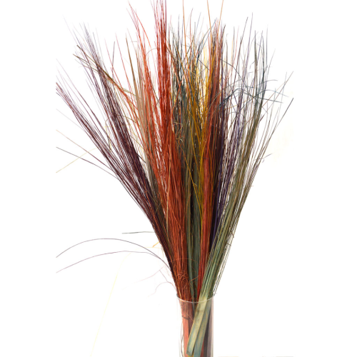 Manojo 100 g. mochitos palma (color a elegir)