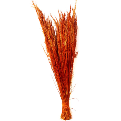 Manojo de plumero (Rojo)