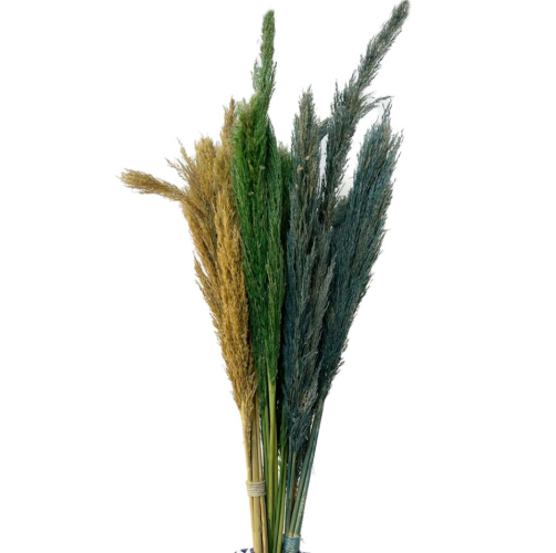 Manojo de 6 plumeros silvestre (colores surtidos)