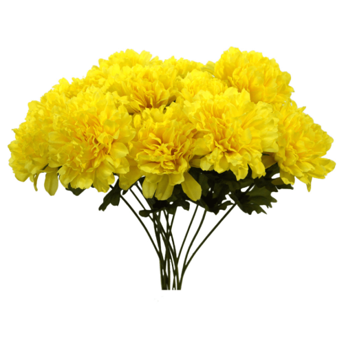 Crisantemo amarillo