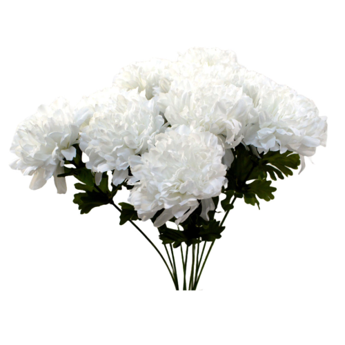 Crisantemo blanco