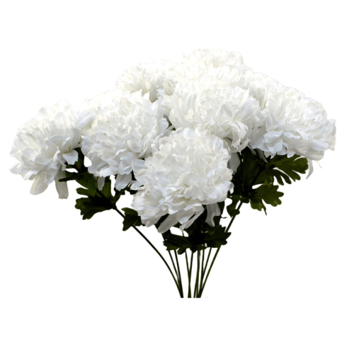 Crisantemo blanco
