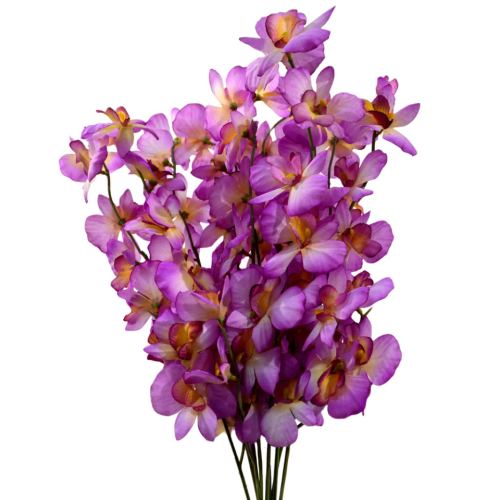 Orquídea