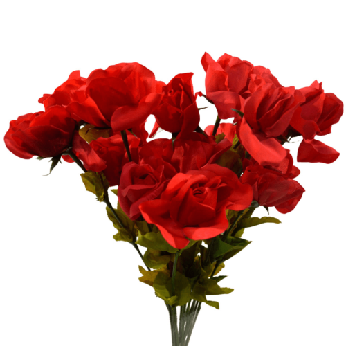 Rosa roja