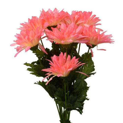 Gerbera rosa