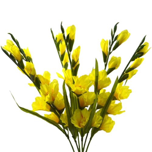 Gladiolo amarillo
