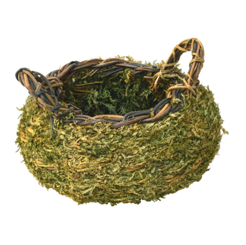 Cesta macetero musgo
