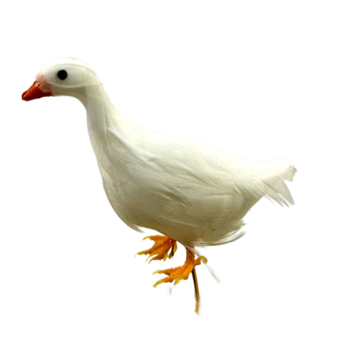 Ganso blanco de plumas