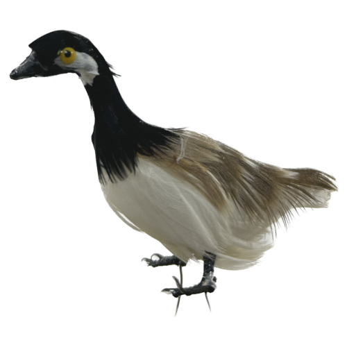 Ganso marrón de plumas