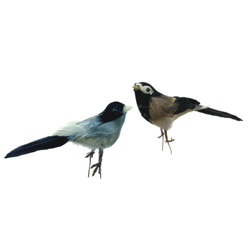 Pájaro de plumas 2 colores surtidos