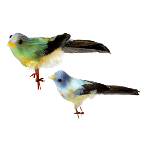 Pájaro de plumas volador azul y verde