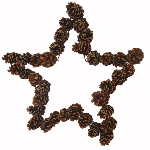 Estrella de piñas
