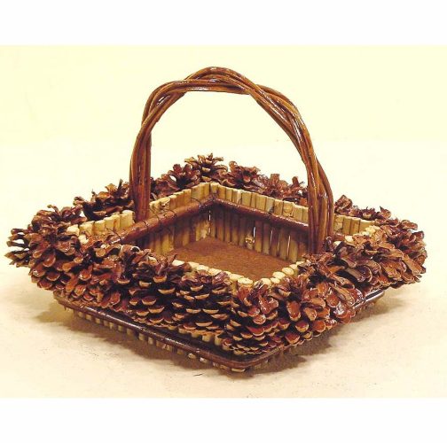 Cesta hinojo y piñas