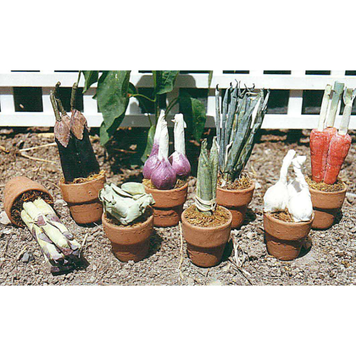 Set de 8 macetas verduras