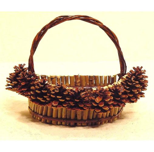 Cesta pared hinojo y piñas