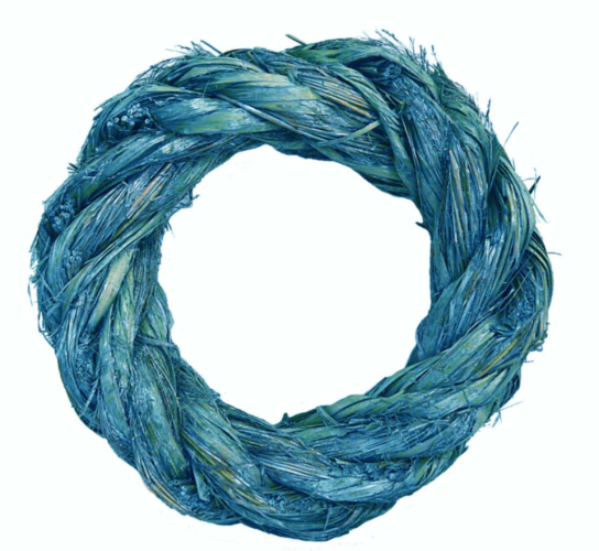 Corona médula y plumero azul plateado