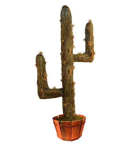 Cactus retama