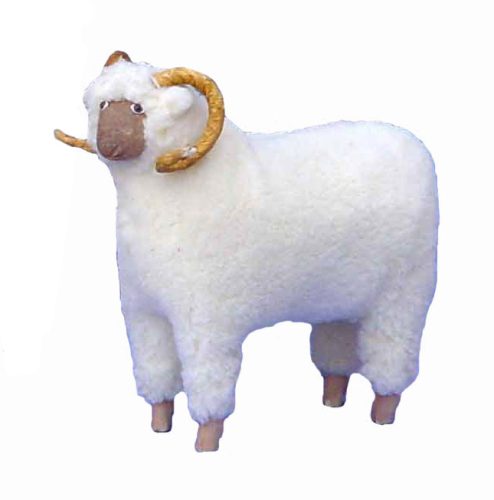 Carnero mediano lana