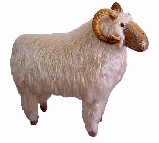 Carnero lana larga