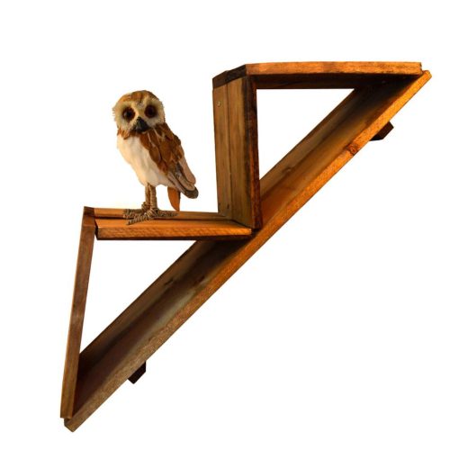 Estante madera color nogal