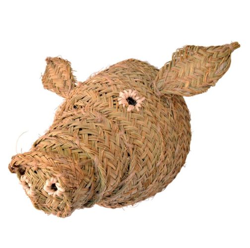 Cabeza cerdo esparto
