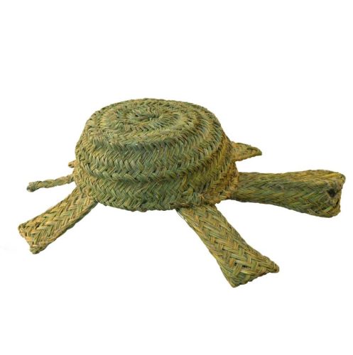 Tortuga esparto