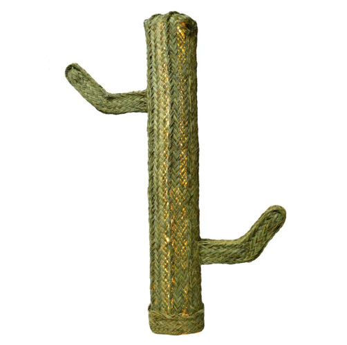 Cactus esparto con luz