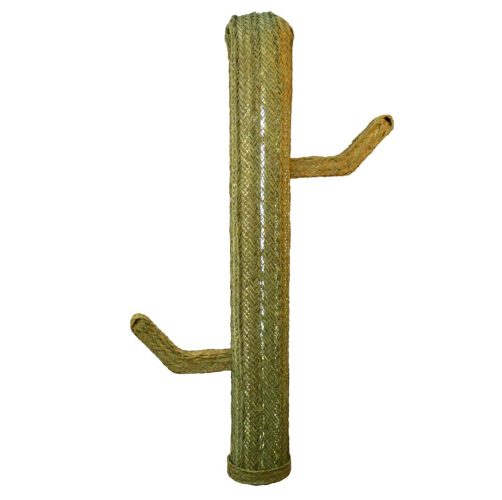 Cactus esparto con luz