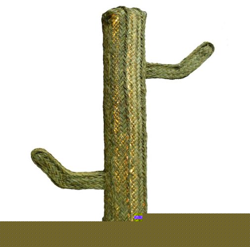 Cactus esparto con luz