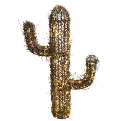 Cactus corcoja iluminado