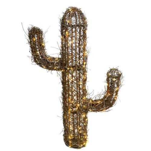 Cactus corcoja iluminado