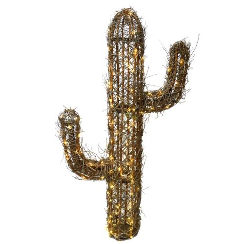 Cactus corcoja iluminado