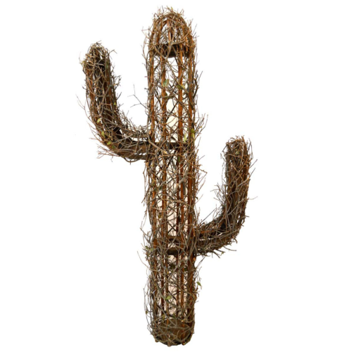 Cactus corcoja