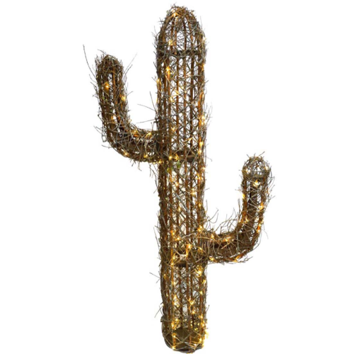 Cactus corcoja iluminado