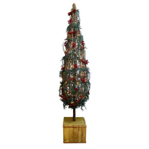 Cipres corcoja iluminado