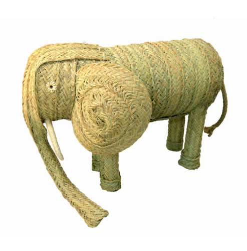 Elefante esparto