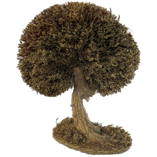 Bonsai tatárica amarilla