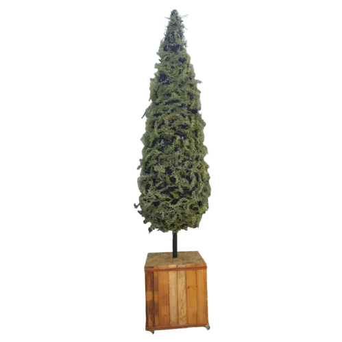 Árbol/cono de ciprés iluminado con macetero